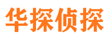 东坡侦探公司